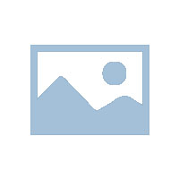 國(guó)威GW28G電話機(jī)話機(jī)狀態(tài)及LCD顯示屏界面